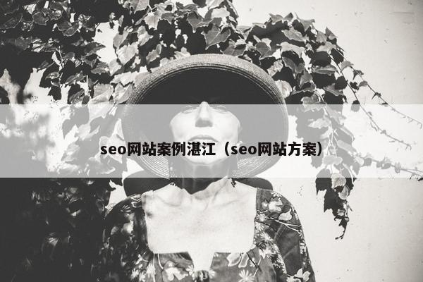 seo网站案例湛江（seo网站方案）