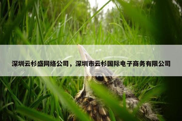 深圳云杉盛网络公司，深圳市云杉国际电子商务有限公司