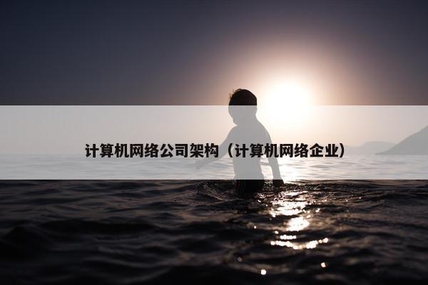 计算机网络公司架构（计算机网络企业）