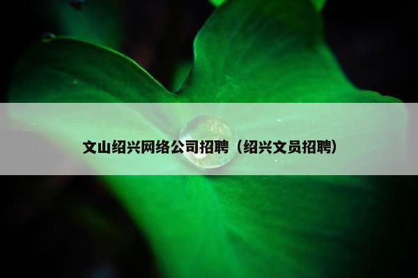 文山绍兴网络公司招聘（绍兴文员招聘）