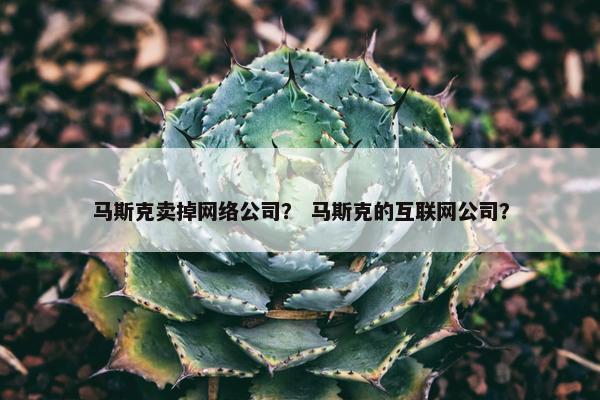 马斯克卖掉网络公司？ 马斯克的互联网公司？