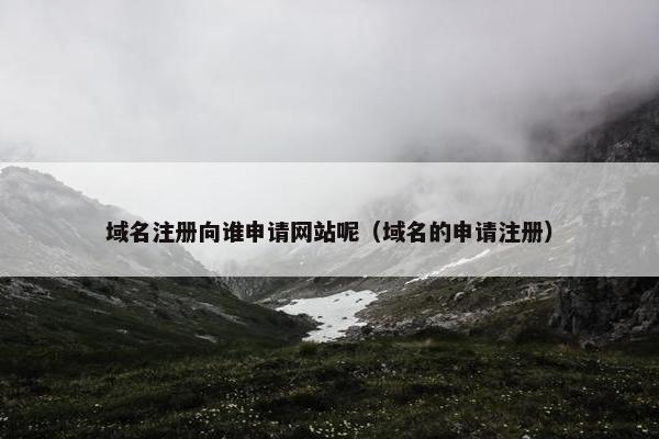 域名注册向谁申请网站呢（域名的申请注册）
