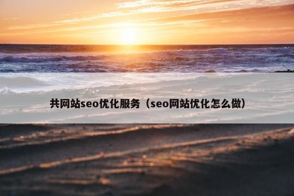 共网站seo优化服务（seo网站优化怎么做）