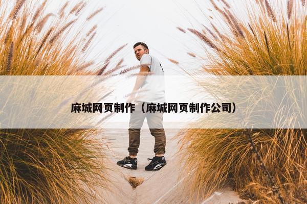 麻城网页制作（麻城网页制作公司）