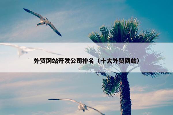 外贸网站开发公司排名（十大外贸网站）