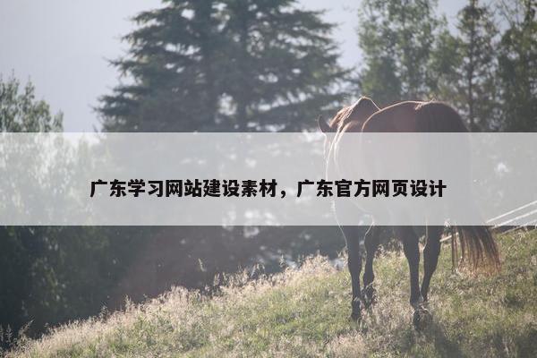 广东学习网站建设素材，广东官方网页设计