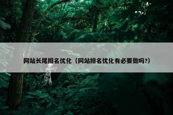 网站长尾排名优化（网站排名优化有必要做吗?）
