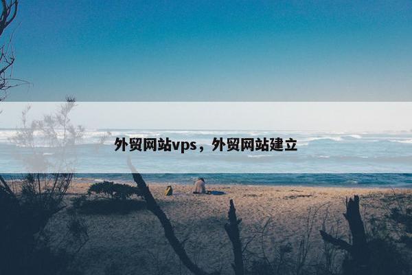 外贸网站vps，外贸网站建立