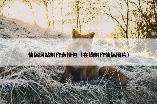 情侣网站制作表情包（在线制作情侣图片）