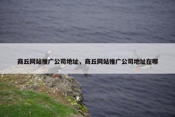 商丘网站推广公司地址，商丘网站推广公司地址在哪