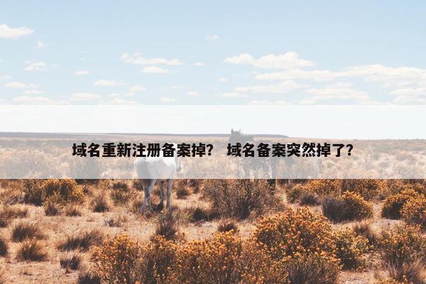 域名重新注册备案掉？ 域名备案突然掉了？