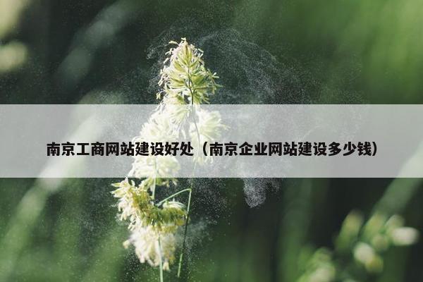 南京工商网站建设好处（南京企业网站建设多少钱）