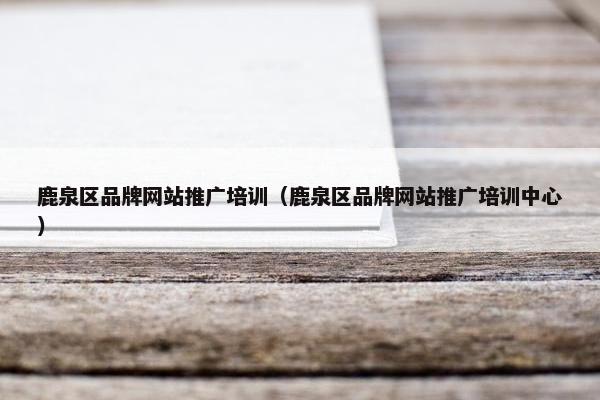 鹿泉区品牌网站推广培训（鹿泉区品牌网站推广培训中心）