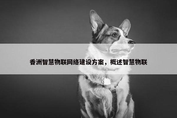 香洲智慧物联网络建设方案，概述智慧物联