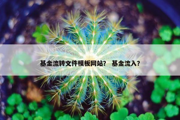 基金流转文件模板网站？ 基金流入？