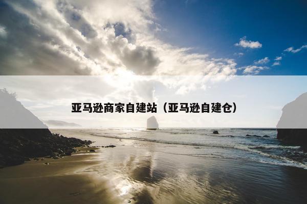 亚马逊商家自建站（亚马逊自建仓）