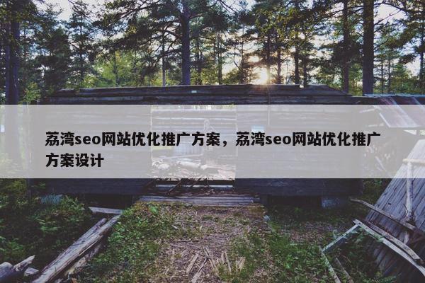 荔湾seo网站优化推广方案，荔湾seo网站优化推广方案设计