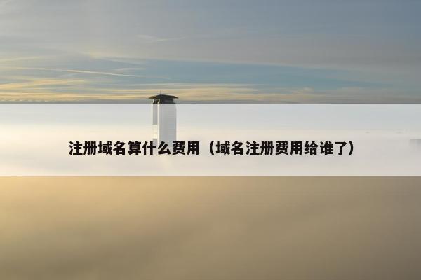 注册域名算什么费用（域名注册费用给谁了）