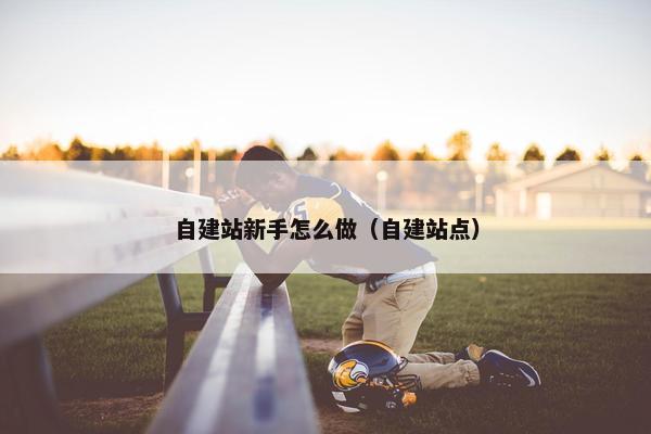 自建站新手怎么做（自建站点）