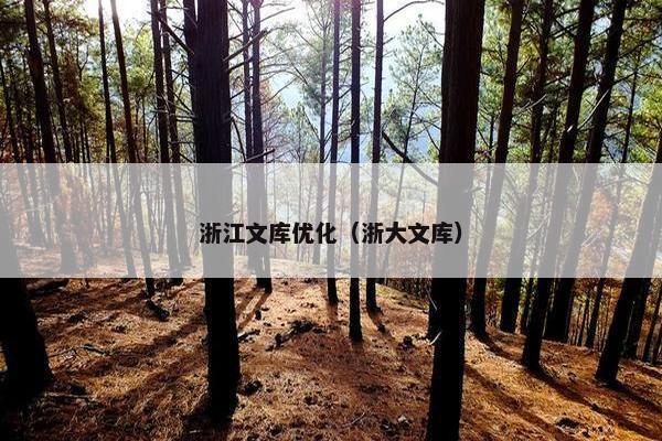 浙江文库优化（浙大文库）