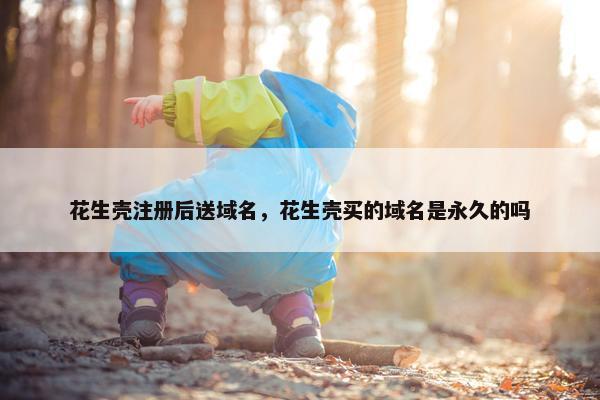 花生壳注册后送域名，花生壳买的域名是永久的吗