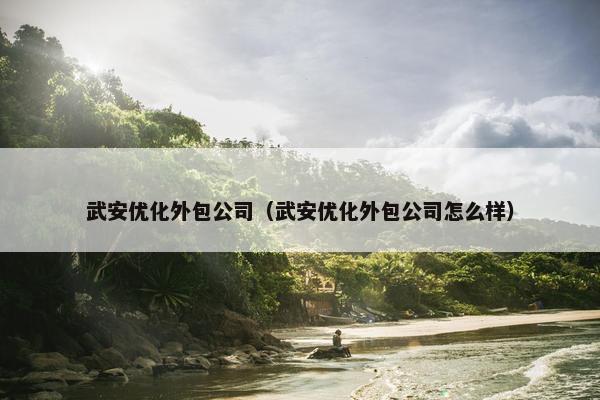 武安优化外包公司（武安优化外包公司怎么样）