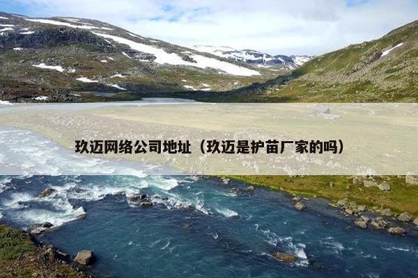 玖迈网络公司地址（玖迈是护苗厂家的吗）