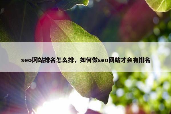 seo网站排名怎么排，如何做seo网站才会有排名