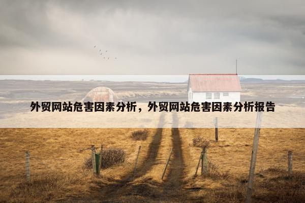 外贸网站危害因素分析，外贸网站危害因素分析报告
