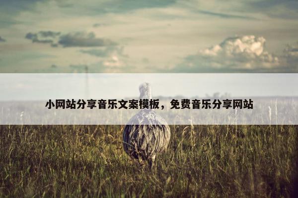 小网站分享音乐文案模板，免费音乐分享网站