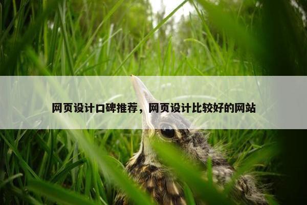 网页设计口碑推荐，网页设计比较好的网站