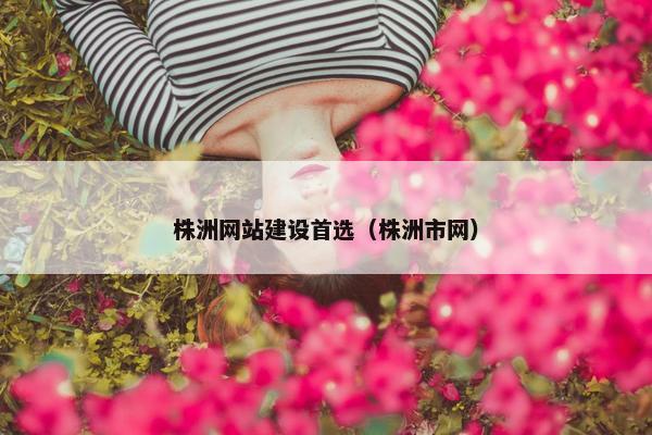 株洲网站建设首选（株洲市网）