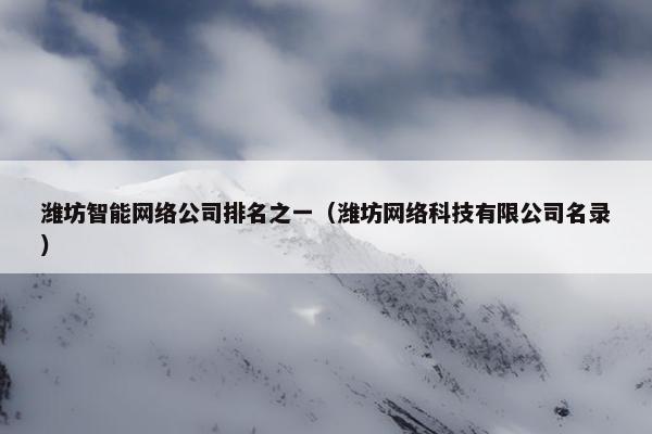 潍坊智能网络公司排名之一（潍坊网络科技有限公司名录）