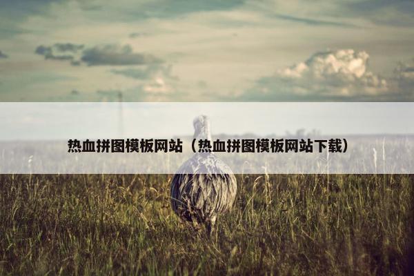 热血拼图模板网站（热血拼图模板网站下载）