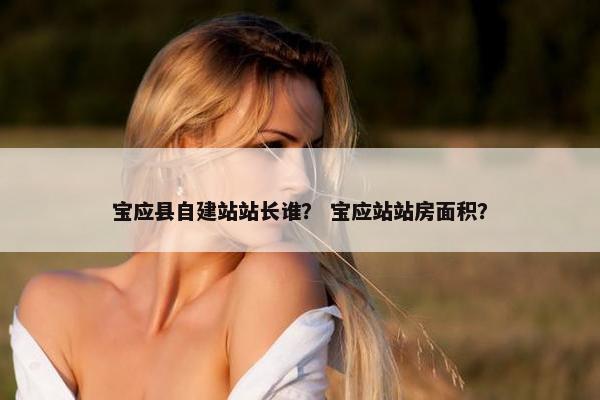 宝应县自建站站长谁？ 宝应站站房面积？