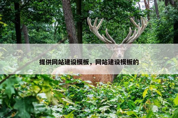 提供网站建设模板，网站建设模板的