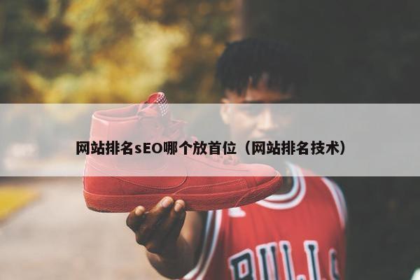 网站排名sEO哪个放首位（网站排名技术）