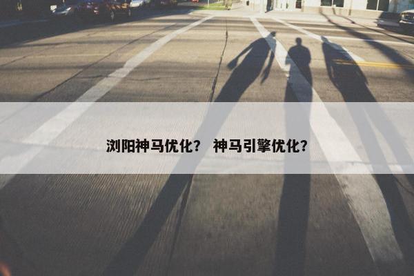浏阳神马优化？ 神马引擎优化？