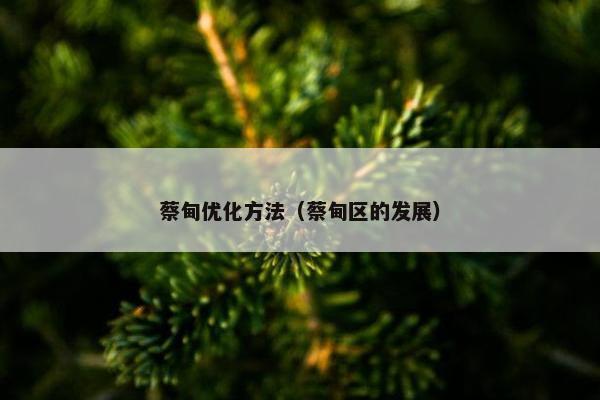蔡甸优化方法（蔡甸区的发展）