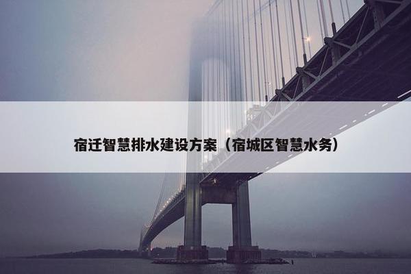 宿迁智慧排水建设方案（宿城区智慧水务）