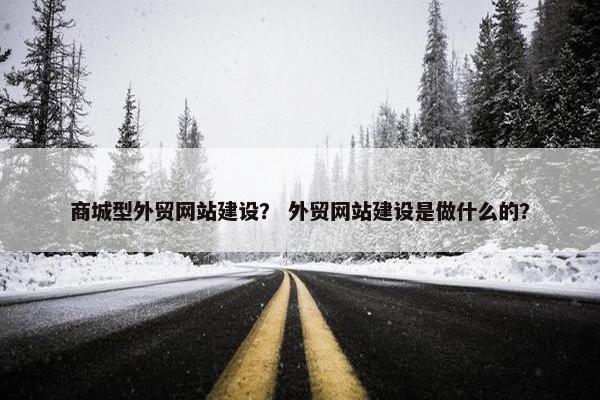 商城型外贸网站建设？ 外贸网站建设是做什么的？