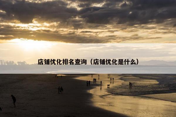 店铺优化排名查询（店铺优化是什么）