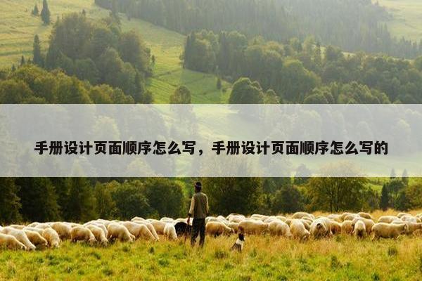 手册设计页面顺序怎么写，手册设计页面顺序怎么写的
