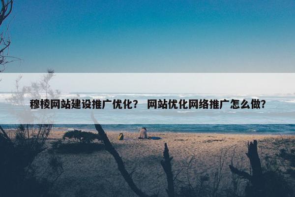 穆棱网站建设推广优化？ 网站优化网络推广怎么做？