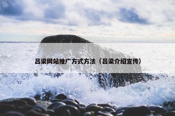 吕梁网站推广方式方法（吕梁介绍宣传）