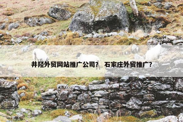 井陉外贸网站推广公司？ 石家庄外贸推广？