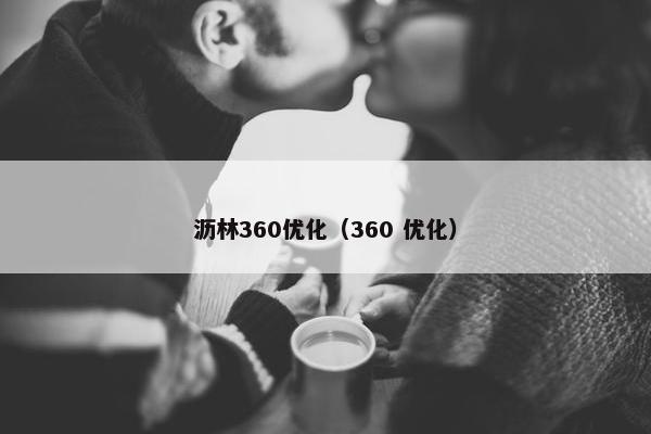 沥林360优化（360 优化）