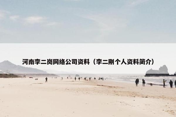河南李二岗网络公司资料（李二刚个人资料简介）