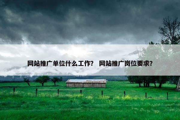 网站推广单位什么工作？ 网站推广岗位要求？