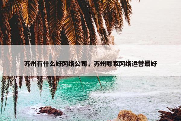 苏州有什么好网络公司，苏州哪家网络运营最好